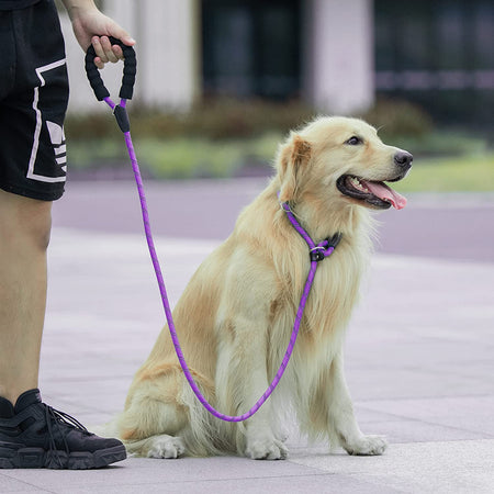 6 FT Durable Slip Lead Dog Leash with Padded Handle and Highly Reflective Threads, Dog Training Leash, (Medium/Large, 35~120 Lbs, Purple)
