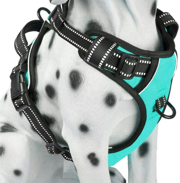 No Pull Dog Harness, Reflective Comfortable Vest Harness with Front & Back 2 Leash Attachments and Easy Control Handle Adjustable Soft Padded Pet Vest for Small Medium Large Dogs (Mint Blue,M)